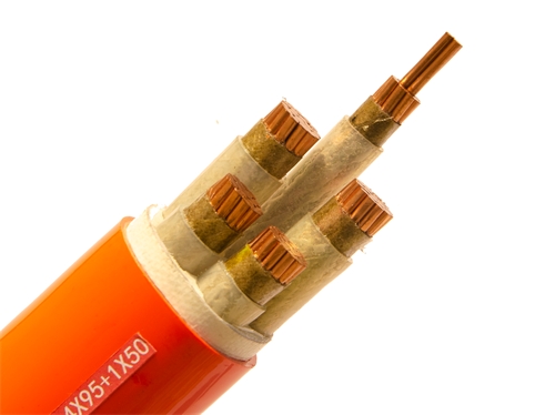 廣西電線電纜廠：礦物質(zhì)電纜是什么？